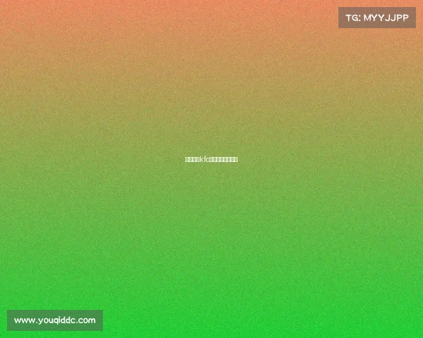 格斗赛事kfc—机器人格斗赛事