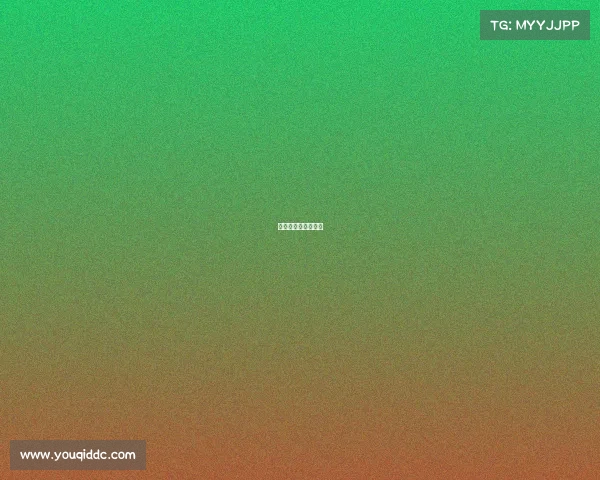 中国桥牌网全国赛事